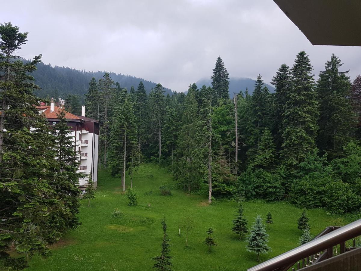 Flora Apartments Tmf Borovets Exterior photo